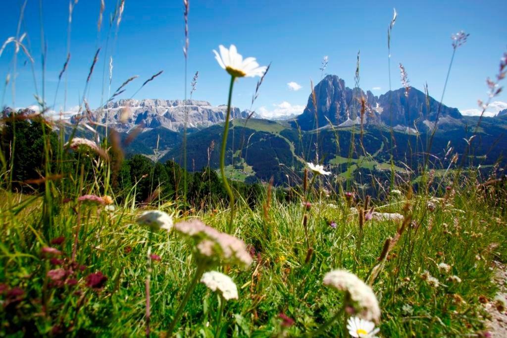 Garni Hotel Bel Vert Sëlva di Val Gardena Eksteriør billede